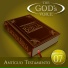 The God's Voice feat. Enrique Rocha