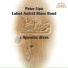 Peter Lipa, Luboš Andršt Blues Band