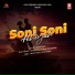 Santosh tiwari, Sayee Gagan