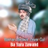 Bakhan Minawal, Zewar Gul