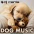 DJ Canis