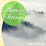 Aurora Strings