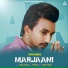 Tippu Sultan