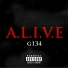 G134