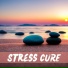 Matt Stress