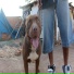 MANO TIAGO MALOKO