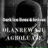 Olanrewaju Agboluaje