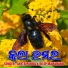 Anita Panda, Dilip Mahanand