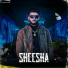 Togesh Chaudhary