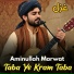 Aminullah Marwat