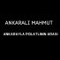 Ankaralı Mahmut Şahinoğlu