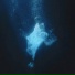 nw2b