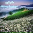 Milad Taghavi