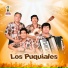 Los Puquiales