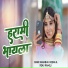 shambhu meena, Renu rangili