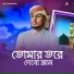 Giyasuddin Amini