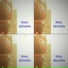 Rute Almeida