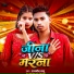 Rajnish Babu