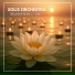 Solis Orchestra