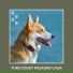 Calm My Dog