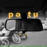 Petutino
