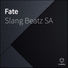Slang Beatz SA