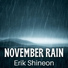 Erik Shineon