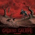 grueso calibre