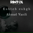 Ahmad Vasili