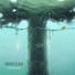 Neirocean