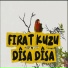 Fırat KUZU