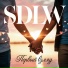 SDLW
