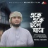 Tanvir Hasan Rokib