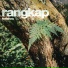 Rangkap
