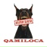 QAMILOCA