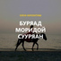 Елена Борохитова