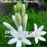 Padhan Music