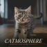 Music for Cats