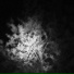 Dracula Mor Nastya