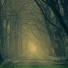 Dwn2earth