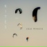 Absence Of Doubt, Crystin