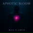 Max Flamen