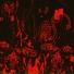 TheDarkas