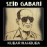 Seid Gabari