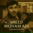 Saeed Mohamadi