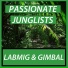 Labmig, Gimbal