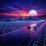Cyanide Sunset