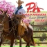 Paulo Andrade