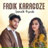 Fadıl Karagoze