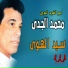 Mohamed El Gady